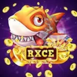 RXCE APK