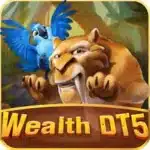 Wealth DT5